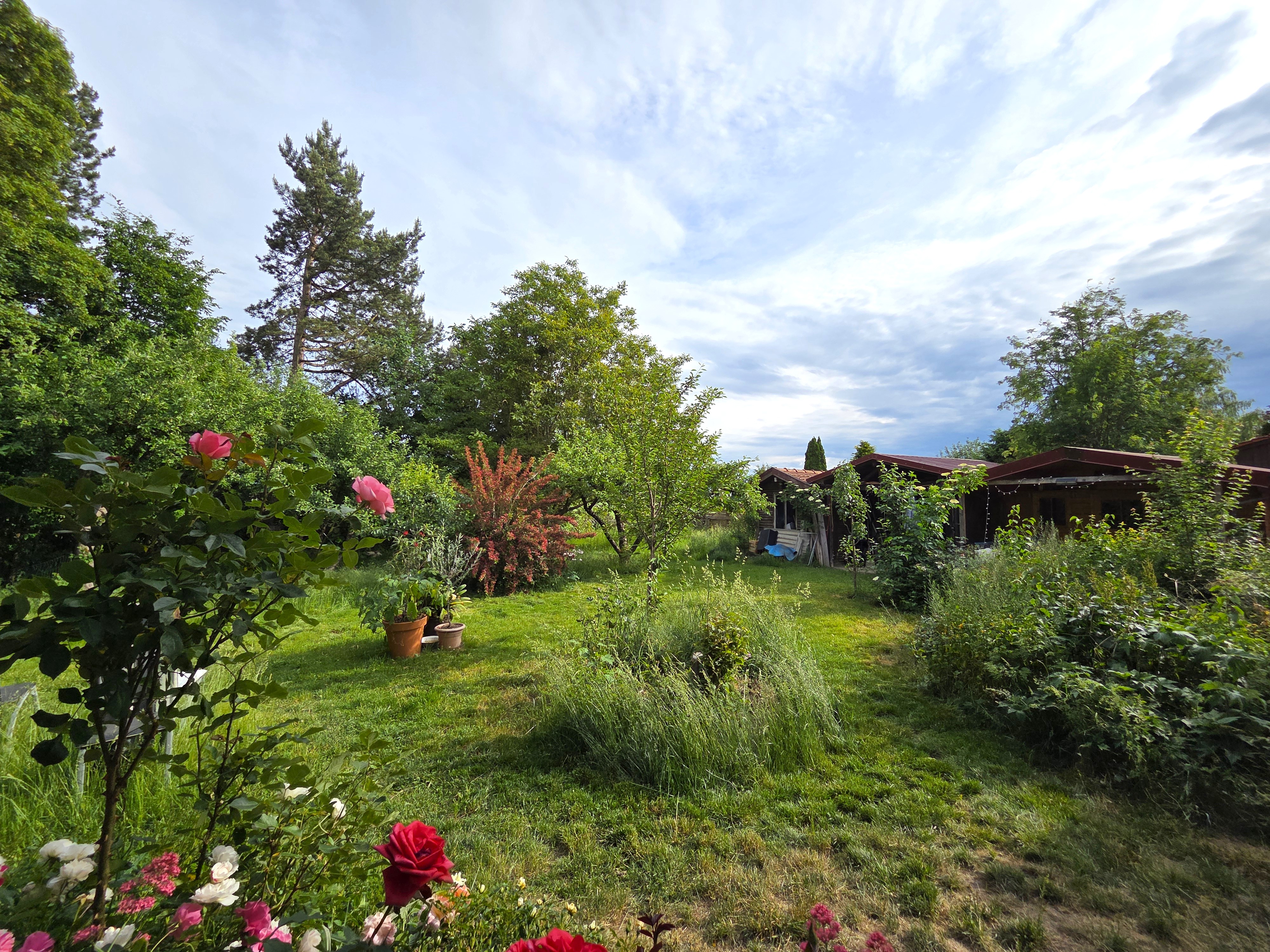 Garten mit Gartenhäuschen